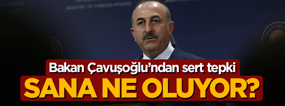 Bakan Mevlüt Çavuşoğlu'ndan Almanya'ya sert tepki: Sana ne oluyor?