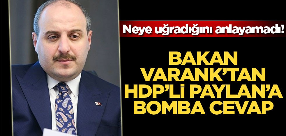 Bakan Mustafa Varank'tan HDP'li Garo Paylan'a bomba cevap sustu kaldı