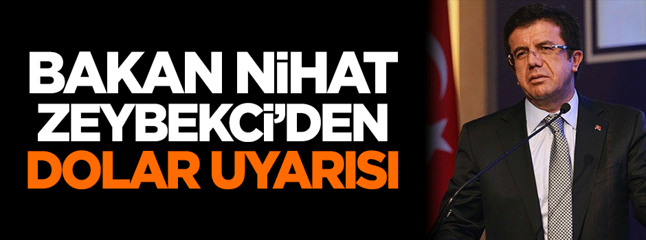 Bakan Nihat Zeybekci'den dolar uyarısı!