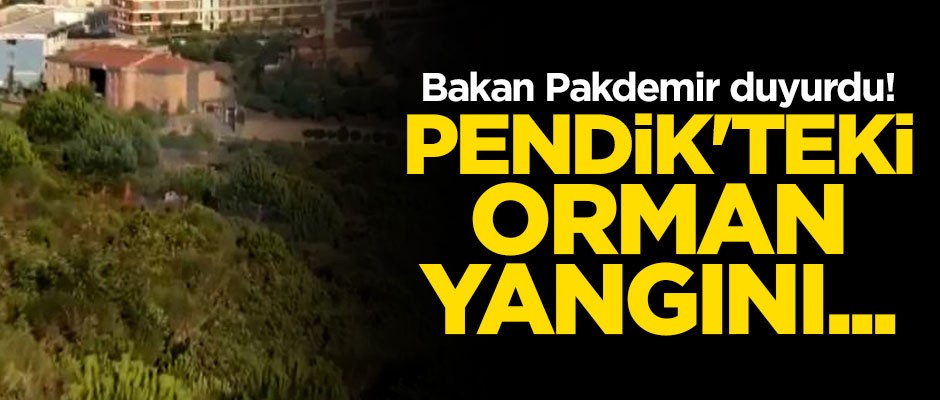 Bakan Pakdemirli duyurdu: Pendik'deki orman yangını terör bağlantılı