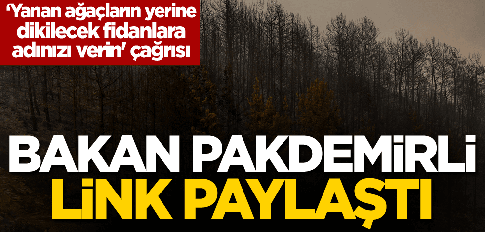 Bakan Pakdemirli link paylaştı! 'Yanan ağaçların yerine dikilecek fidanlara adınızı verin' çağrısı