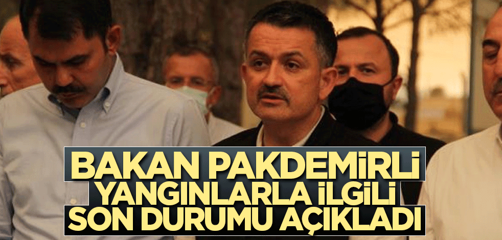 Bakan Pakdemirli yangınlarla ilgili son durumu açıkladı