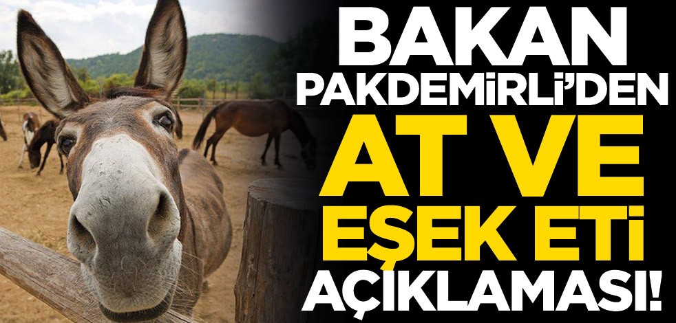 Bakan Pakdemirli’den at ve eşek eti açıklaması!
