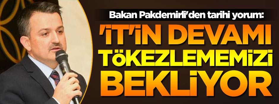 Bakan Pakdemirli'den tarihi yorum: İT'in devamı tökezlememizi bekliyor