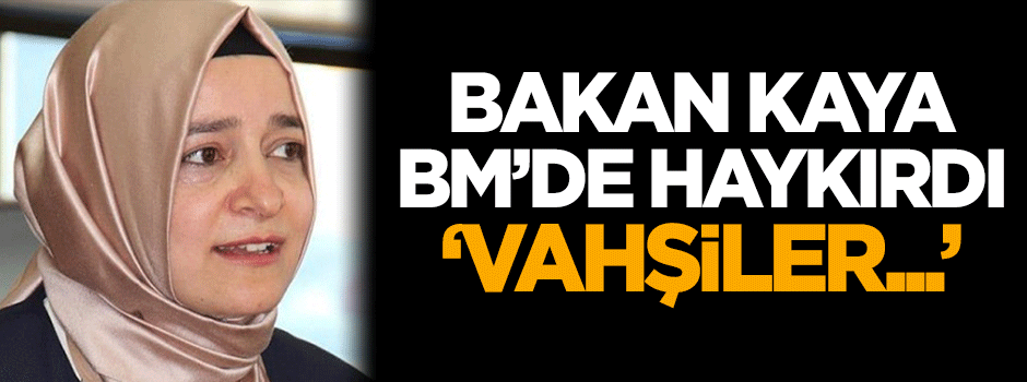 Bakan Sayan Kaya BM'de haykırdı: Vahşiler...