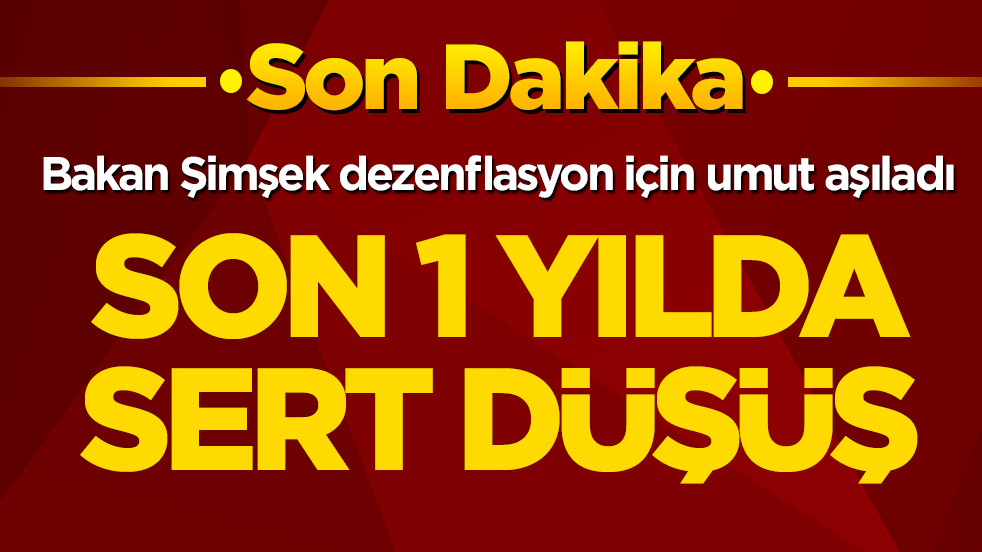 Bakan Şimşek dezenflasyon için umut aşıladı! Son 1 yılda sert düşüş