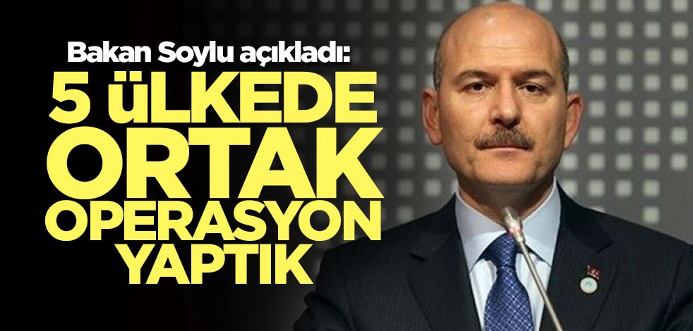 Bakan Soylu : 5 ülkede ortak operasyon yaptık