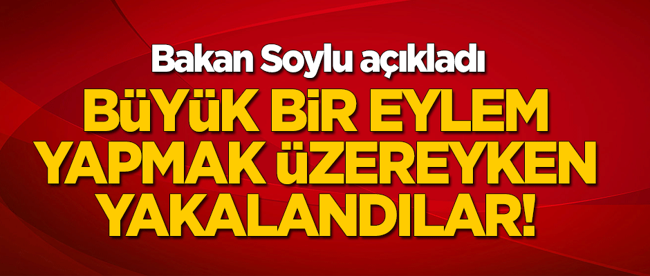 Bakan Soylu açıkladı: Büyük bir eylem yapmak üzereyken yakalandılar