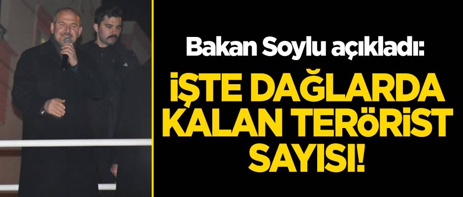 Bakan Soylu açıkladı! İşte dağlarda kalan terörist sayısı