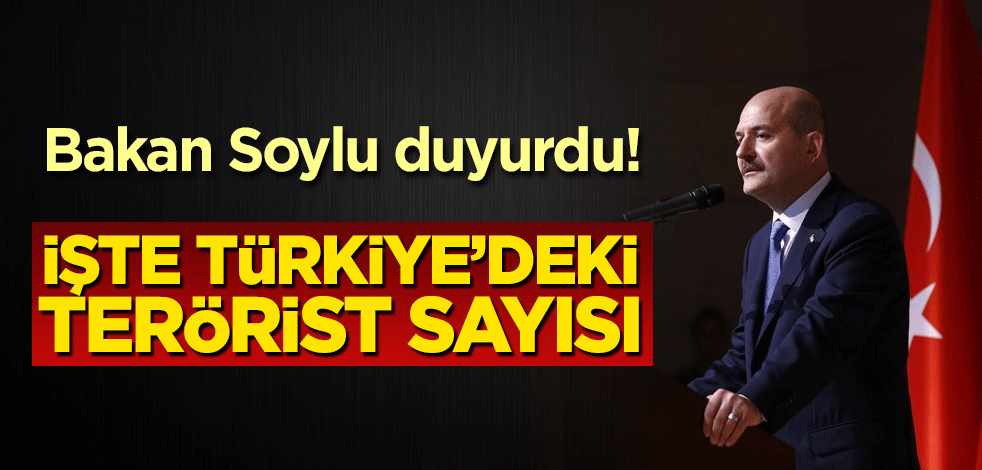 Bakan Soylu açıkladı! İşte Türkiye'deki terörist sayısı