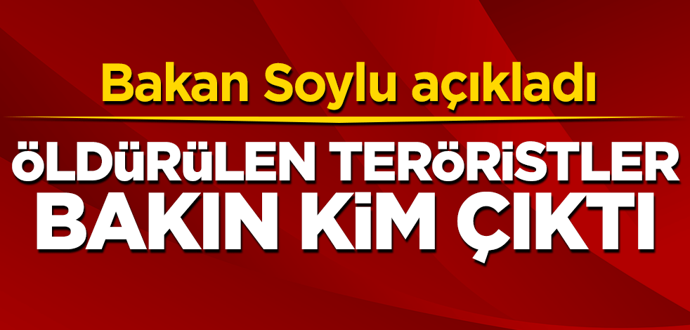 Bakan Soylu açıkladı! Öldürülen teröristler bakın kim çıktı