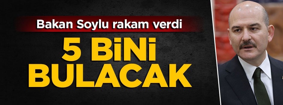 Bakan Soylu açıkladı: Rakam 5 bini bulacak