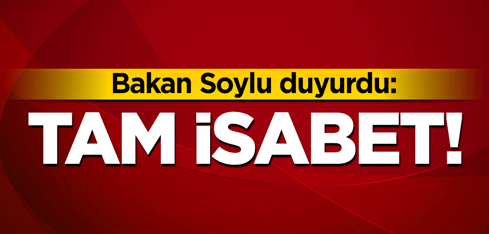 Bakan Soylu açıkladı: Tam isabet