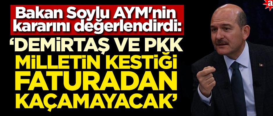 Bakan Soylu AYM'nin kararını değerlendirdi: Demirtaş ve PKK milletin kestiği faturadan kaçamayacak