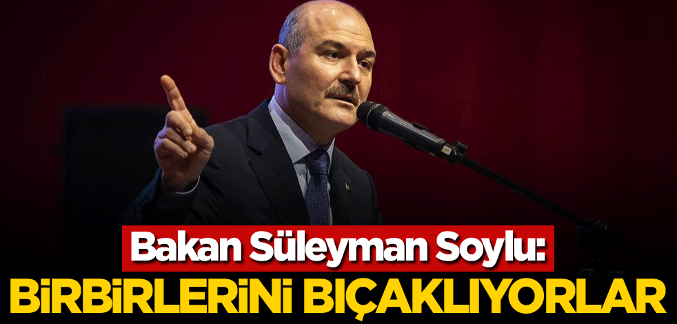 Bakan Soylu: Birbirlerini bıçaklıyorlar