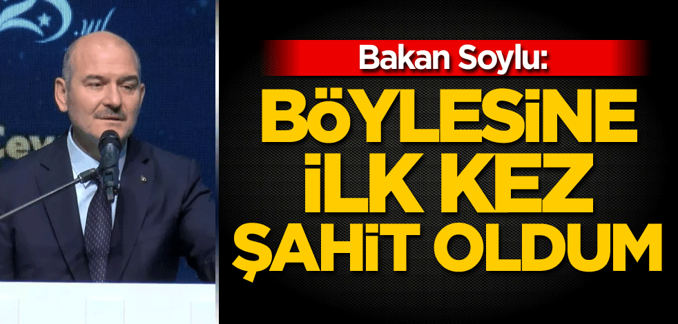 Bakan Soylu: Böylesine ilk kez şahit oldum