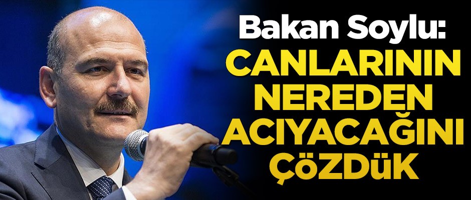 Bakan Soylu: Canlarının nereden acıyacağını çözdük