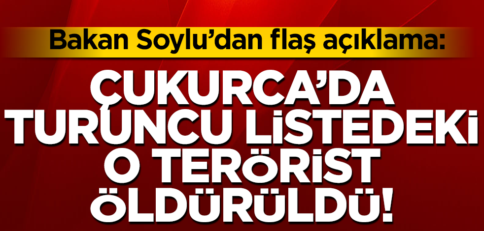 Bakan Soylu: 'Çukurca'da 3 sivili katleden turuncu listedeki terörist öldürüldü'