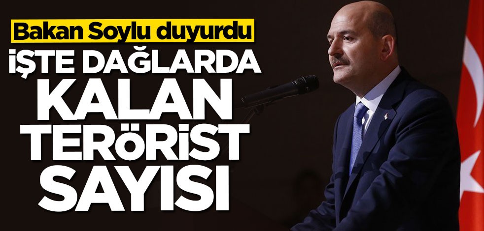 Bakan Soylu dağlarda kalan terörist sayısını açıkladı