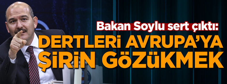 Bakan Soylu, Demirtaş destekçilerine sert çıktı! ''Dertleri Avrupa'ya şirin gözükmek''