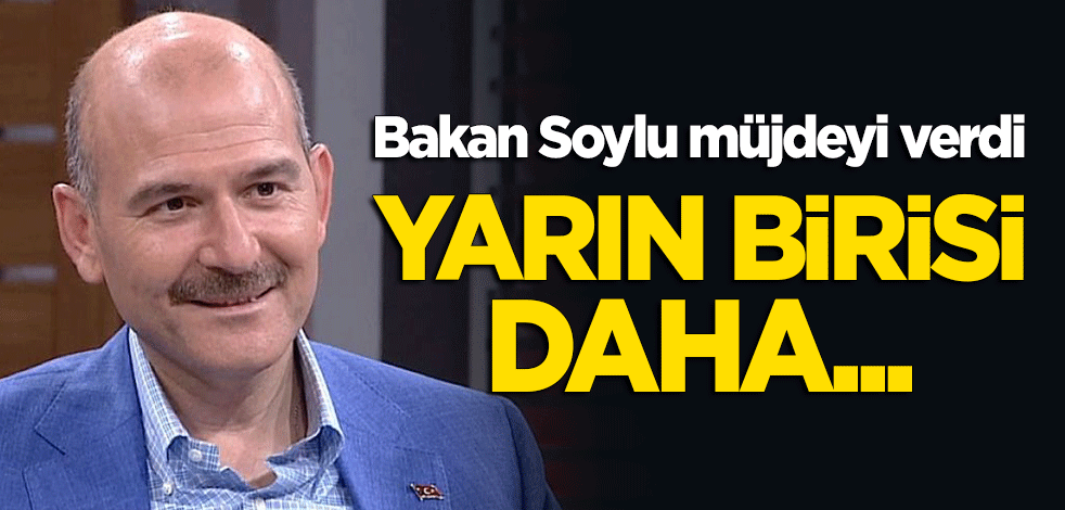 Bakan Soylu, Diyarbakır Anneleri'ne müjdeyi verdi!