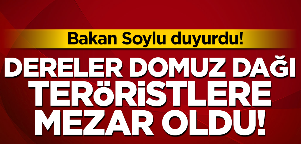 Bakan Soylu duyurdu! Bestler Dereler Domuz Dağı'nda 4 terörist öldürüldü