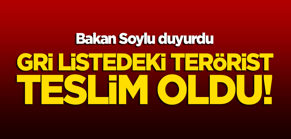 Bakan Soylu duyurdu: Gri listedeki terörist teslim oldu!