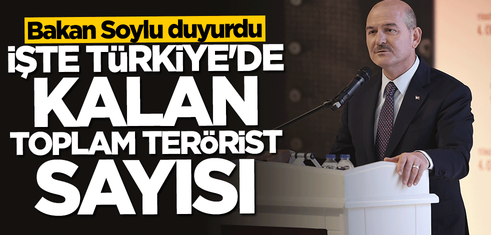 Bakan Soylu duyurdu! İşte Türkiye'de kalan toplam terörist sayısı