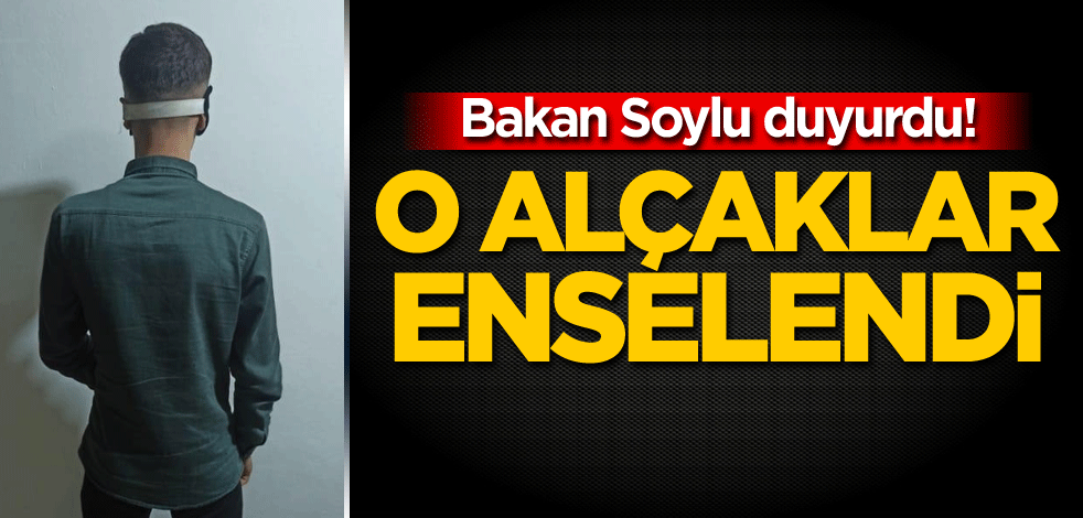Bakan Soylu duyurdu! O alçaklar enselendi