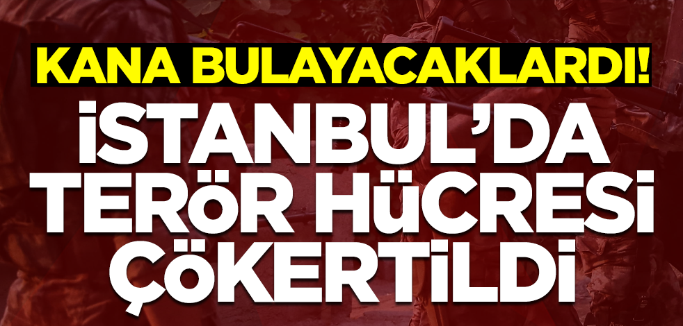 Bakan Soylu duyurdu! Patlamaya hazır 5 kg patlayıcıyla yakalandılar