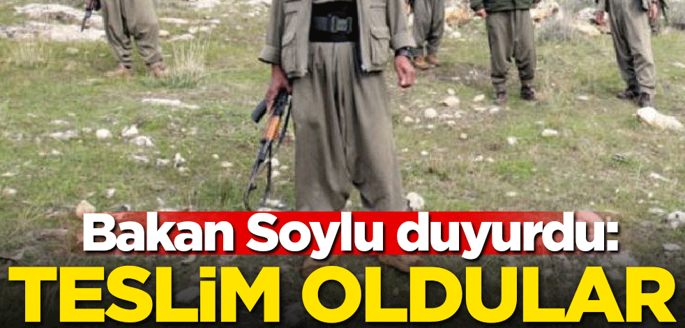 Bakan Soylu duyurdu: Teslim oldular