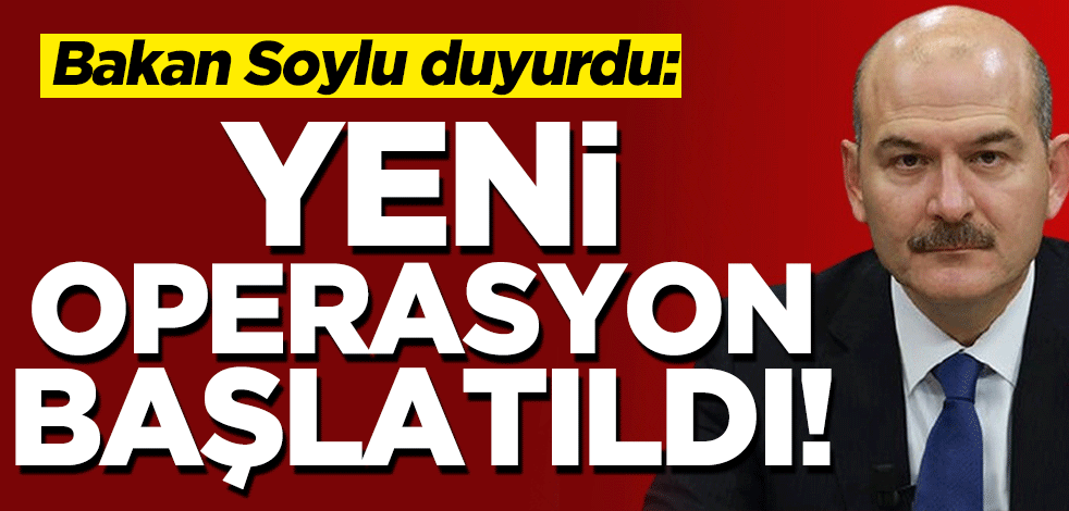 Bakan Soylu duyurdu: Yıldırım Bestler 17 operasyonu başlatıldı