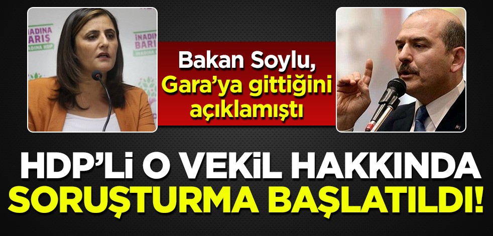 Bakan Soylu HDP'li Taşdemir'in Gara'ya gittiğini açıklamıştı: Soruşturma başlatıldı!