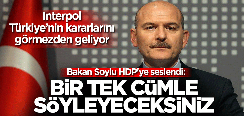 Bakan Soylu HDP'ye seslendi: Bir tek cümle söyleyeceksiniz