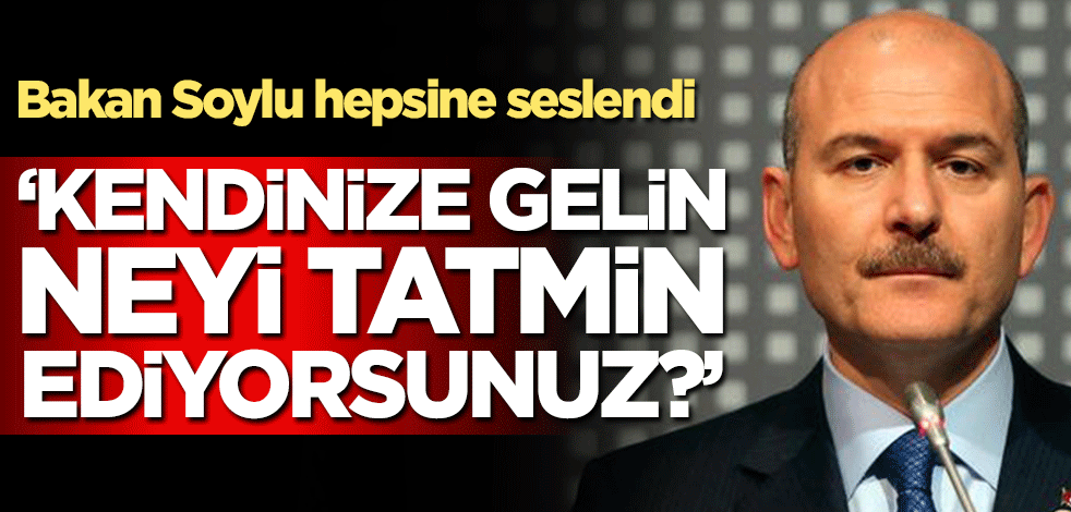 Bakan Soylu hepsine seslendi! ‘Kendinize gelin neyi tatmin ediyorsunuz?’