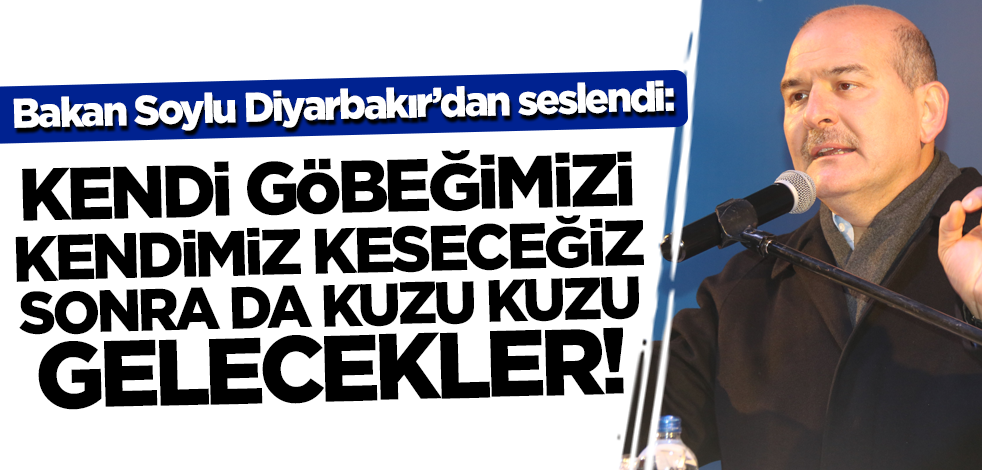 Bakan Soylu: Kendi göbeğimizi kendimiz keseceğiz sonra da kuzu kuzu buraya gelecekler