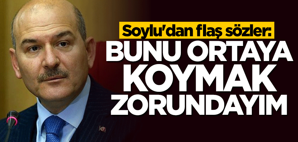 Bakan Soylu mecliste konuştu: Bunu ortaya koymak zorundayım