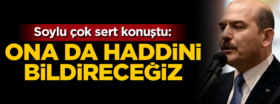 Bakan Soylu: Ona da haddini bildireceğiz