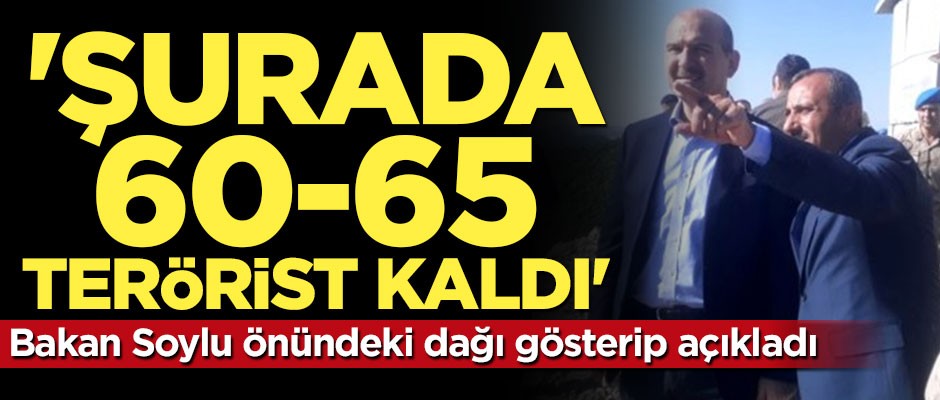 Bakan Soylu önündeki dağı gösterip açıkladı: Şurada 60-65 terörist kaldı
