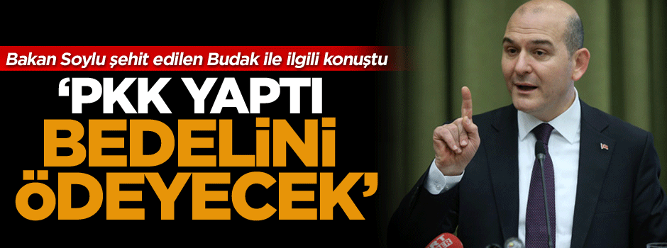 Bakan Soylu: PKK yaptı, bedelini ödeyecek!
