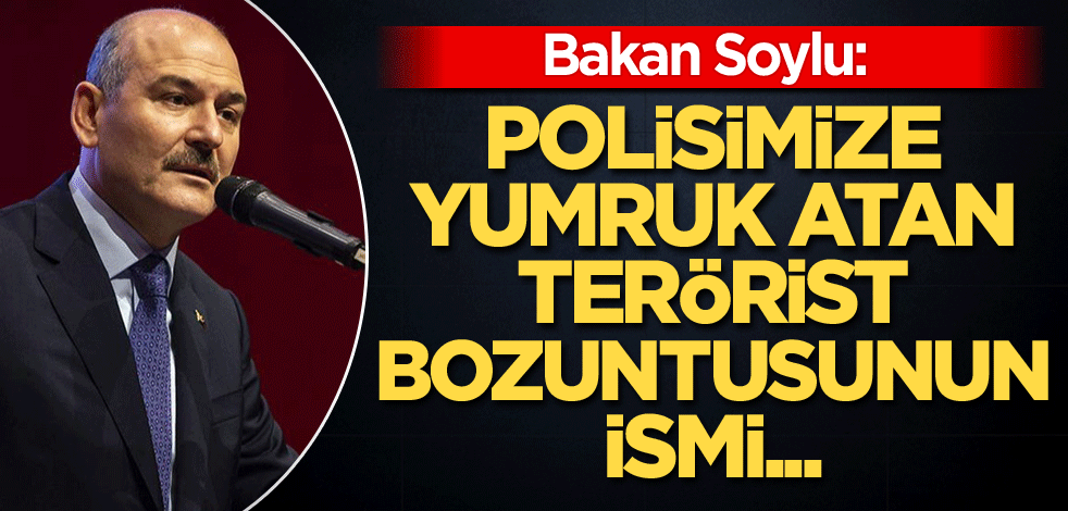 Bakan Soylu: Polisimize yumruk atan terörist bozuntusunun ismi...