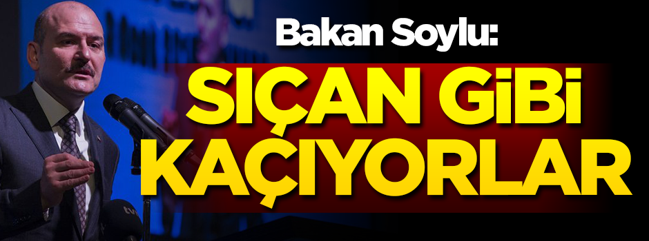Bakan Soylu: Sıçan gibi kaçıyorlar!
