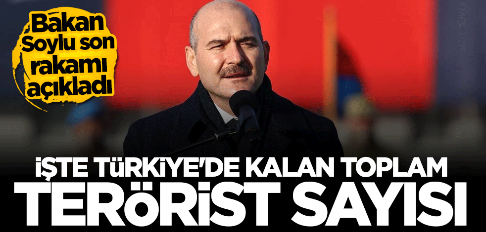 Bakan Soylu tarih verip açıkladı: Tek tek temizliyoruz