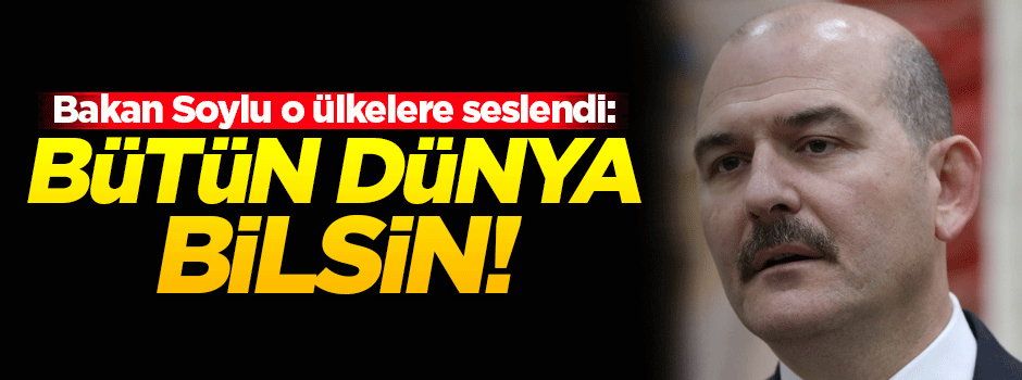 Bakan Soylu: Tüm dünya bilsin!