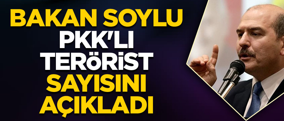 Bakan Soylu Türkiye içindeki PKK'lı terörist sayısını açıkladı