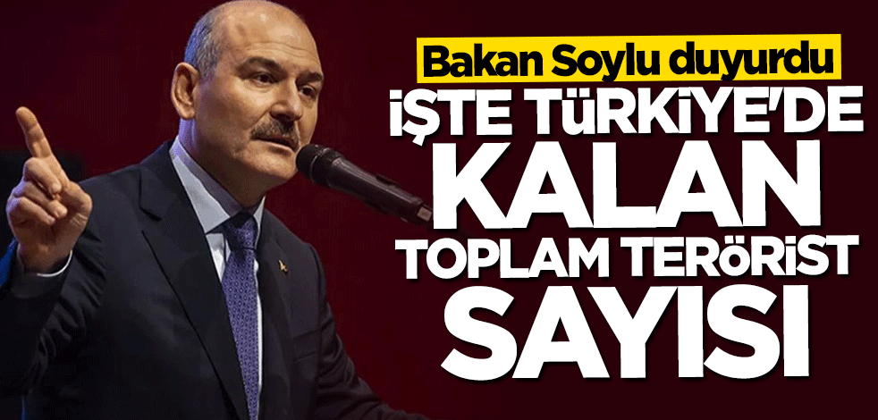 Bakan Soylu Türkiye'de kalan terörist sayısını açıkladı