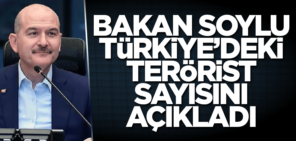 Bakan Soylu Türkiye’deki terörist sayısını açıkladı
