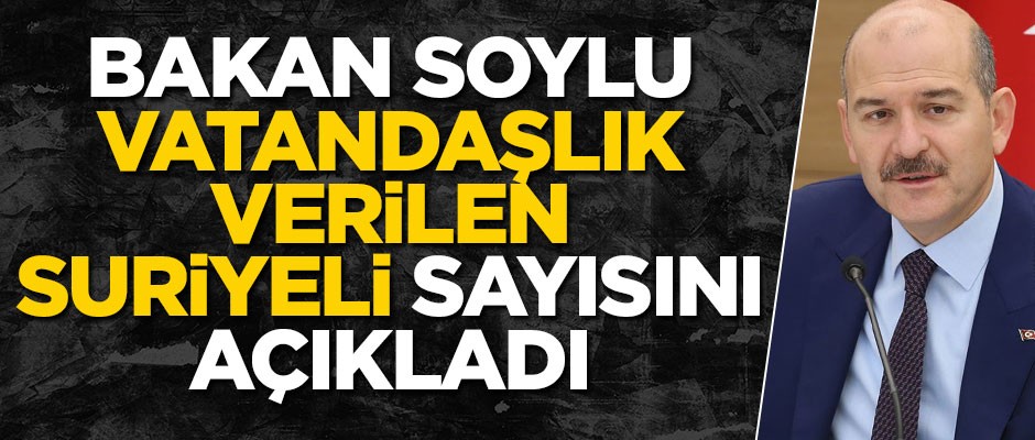 Bakan Soylu, vatandaşlık verilen Suriyeli sayısını açıkladı