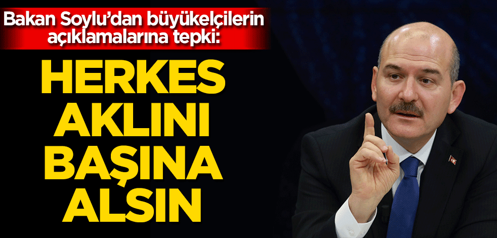 Bakan Soylu'dan büyükelçilerin açıklamalarına tepki: Herkes aklını başına alsın