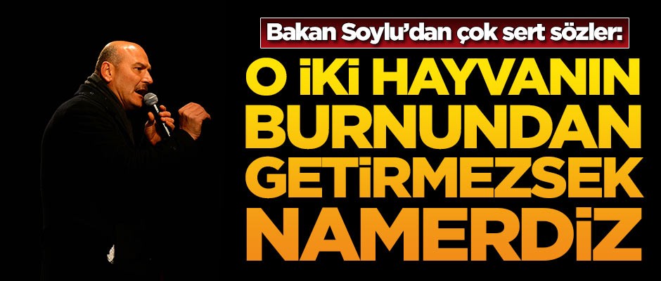 Bakan Soylu'dan çok sert sözler: O iki hayvanın burnundan getirmezsek namerdiz